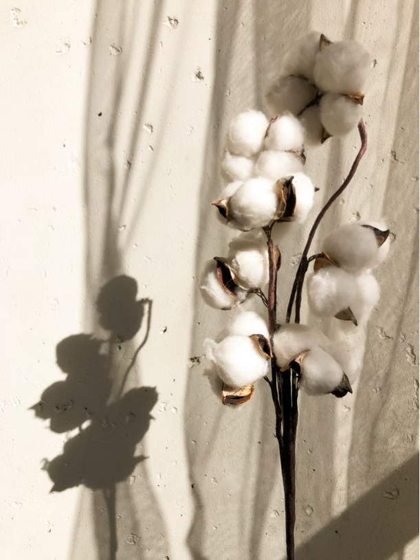 Tante Reine - Couverture d'emmaillotage - coton organic