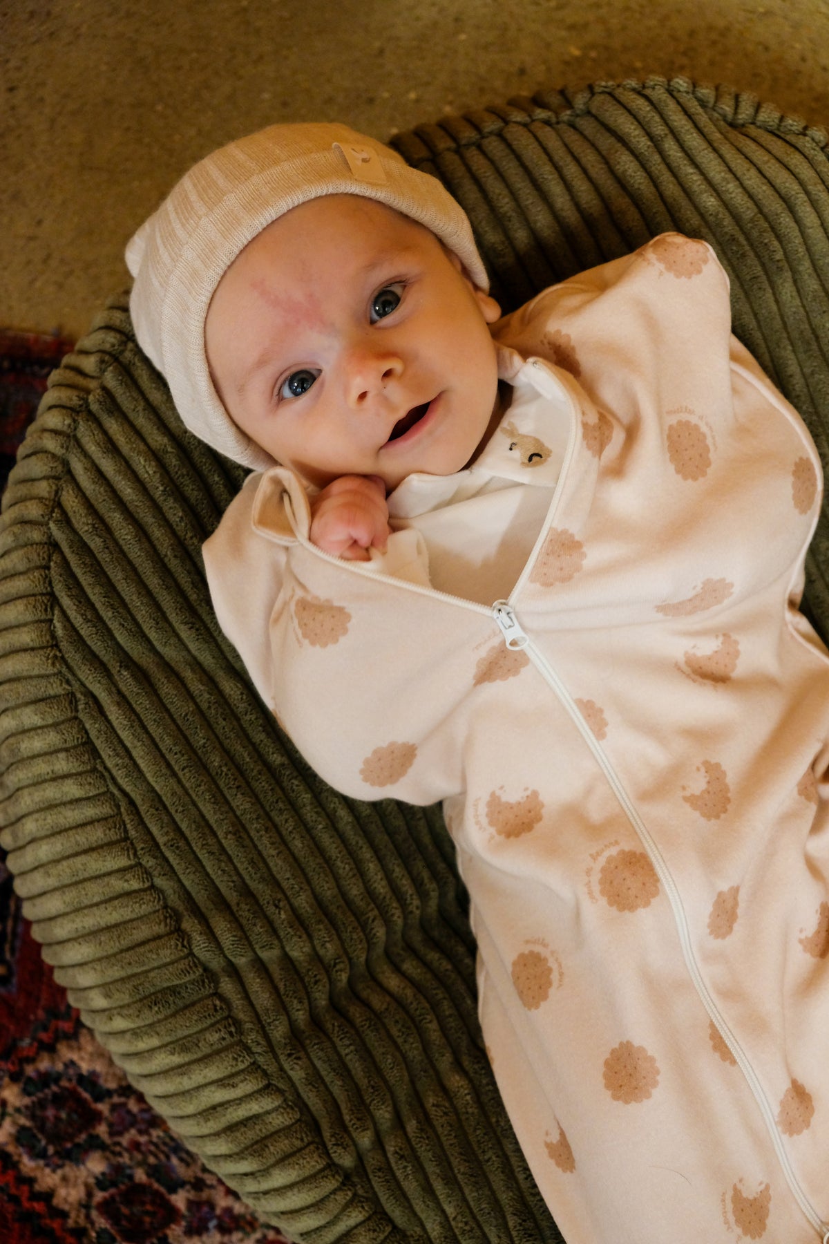 bébé emmailloté avec mains qui sortent sur nid