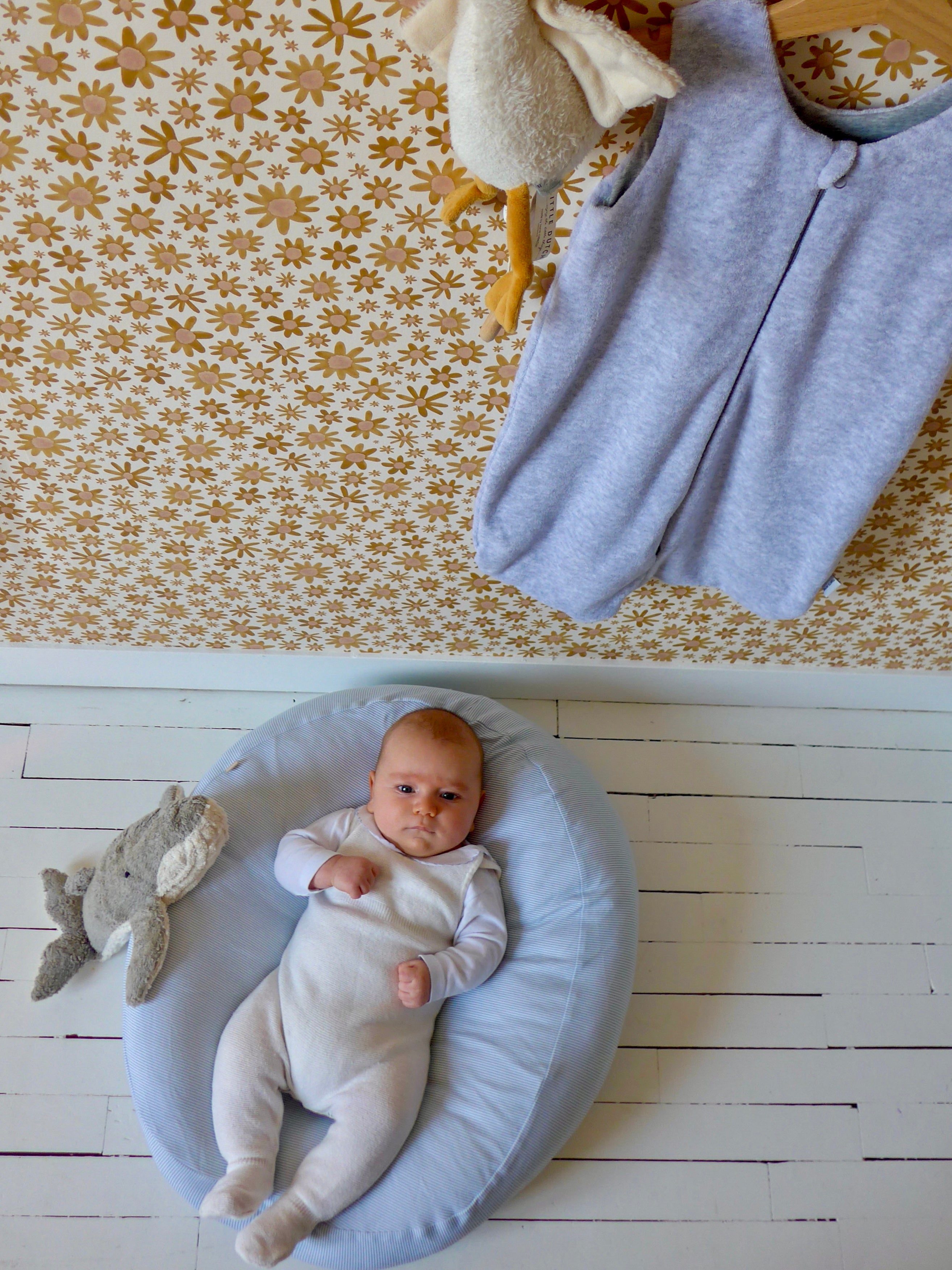 gigoteuse été ambiance pistache rayures milleraies sauge